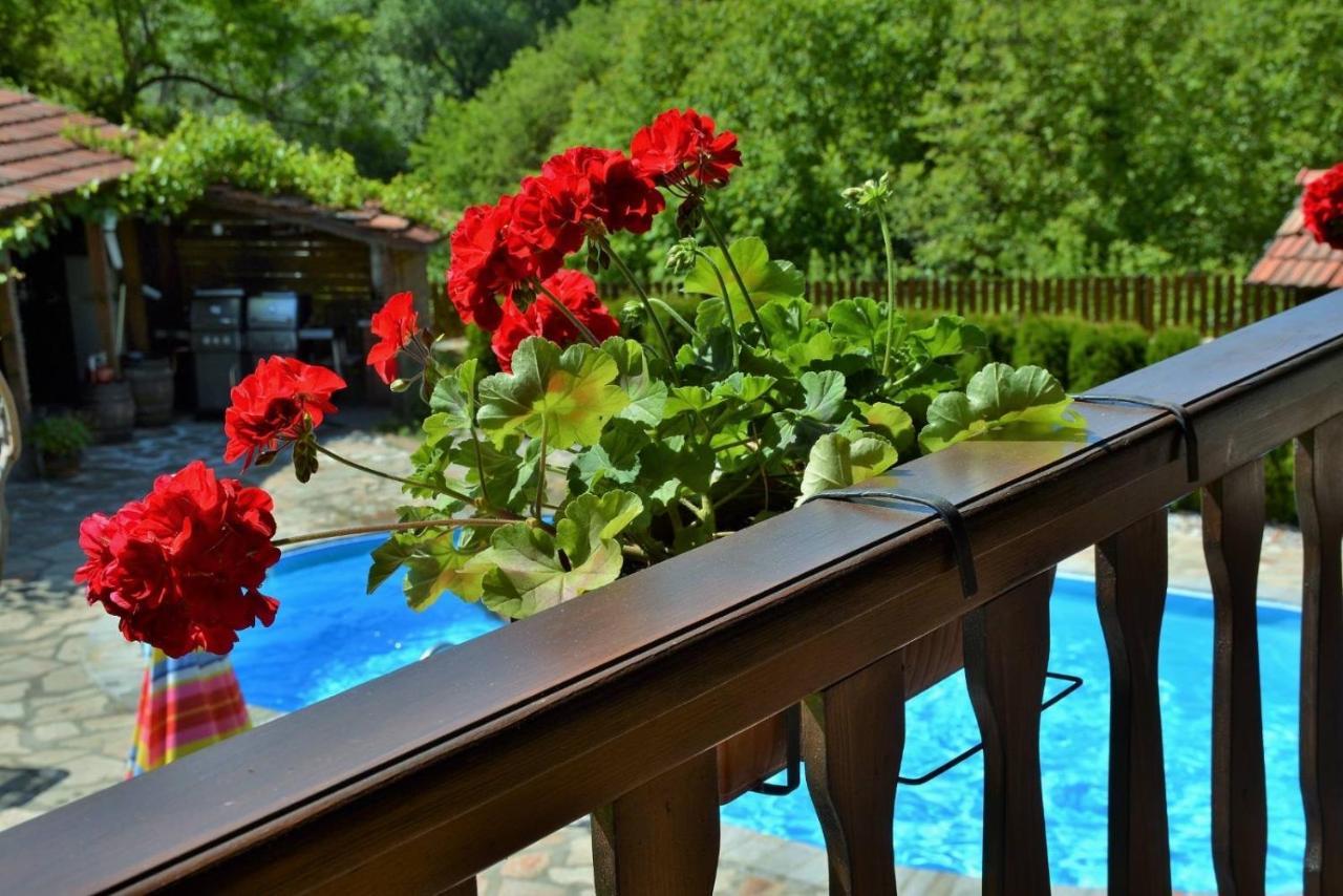 Къща Край Реката/ House By The River Vetrintsi Exterior foto